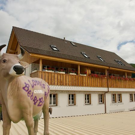 Conny'S B&B Niederweningen Exteriér fotografie