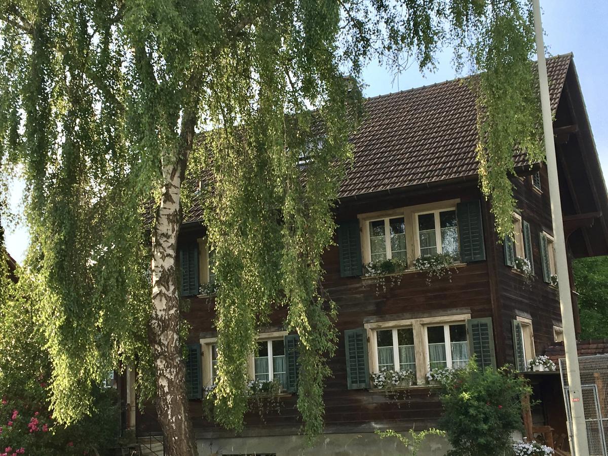 Conny'S B&B Niederweningen Exteriér fotografie