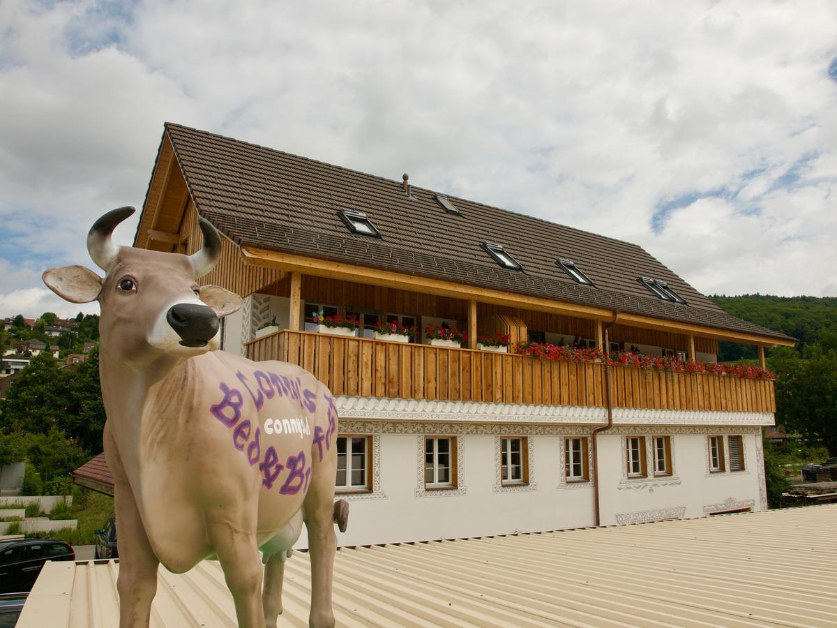 Conny'S B&B Niederweningen Exteriér fotografie